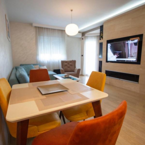 Luxury apartment in the city center
